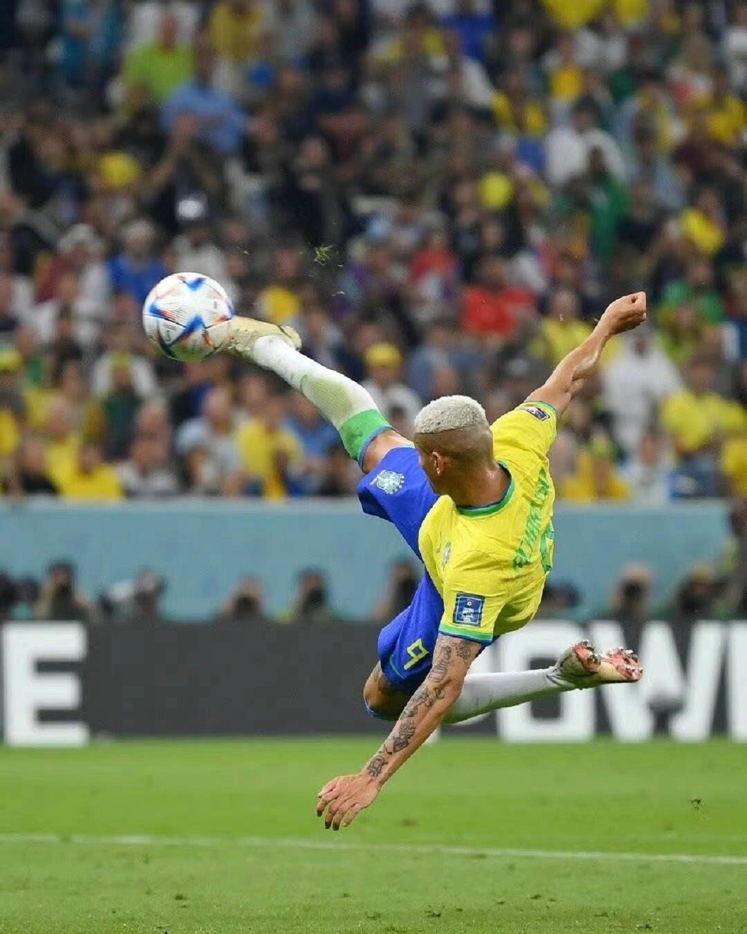 仅展示了阿 仅展示了阿