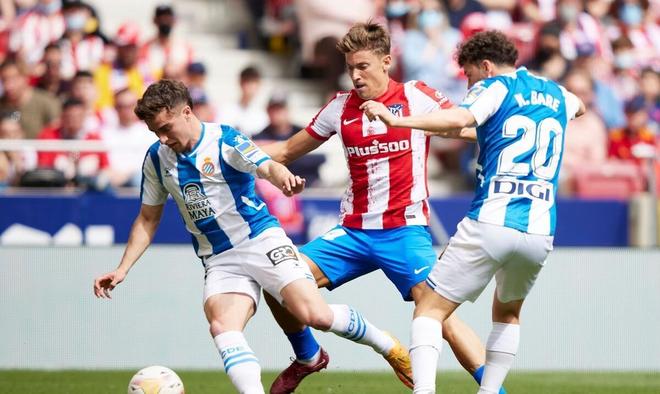 层已放话 层已放话